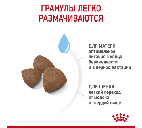 Royal Canin Medium Starter, 4 кг