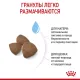 Royal Canin Medium Starter, 4 кг