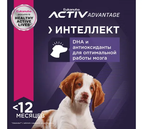Eukanuba Puppy Medium Breed (Птица), 800 г
