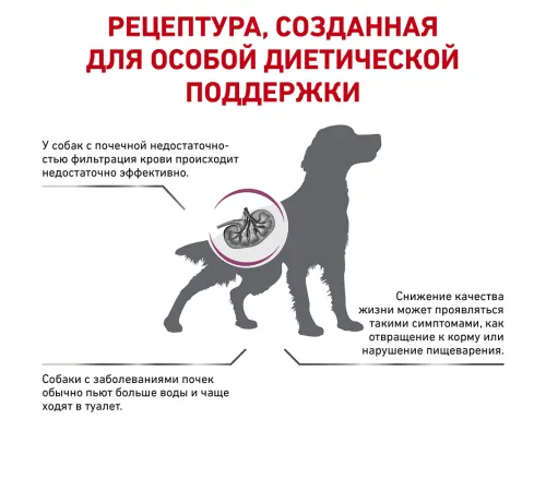 Royal Canin Renal Dog, 2 кг