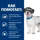 Hill's Prescription Diet Metabolic + Mobility Mini для собак (курица), 1 кг