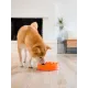 OutwardHound Миска для медленного поедания Водоворот, оранжевая
