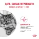 Royal Canin Ageing (желе) 11+, 85 г х 12 шт