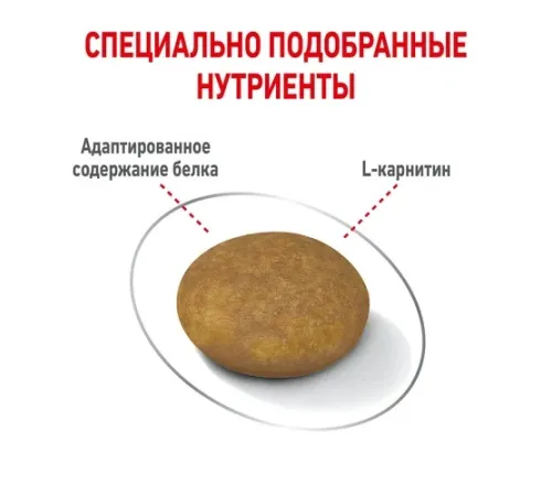 Royal Canin X-Small Light Weight Care, 1,5 кг