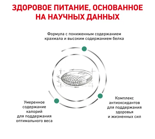 Royal Canin Diabetic Cat, 350 г