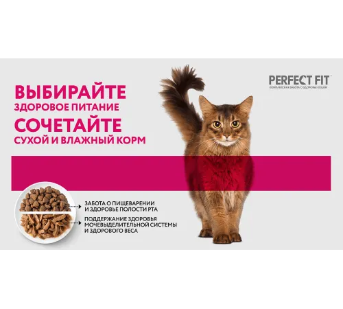 Perfect Fit для стерилизованных котов и кошек (Паштет с говядиной), 75 г
