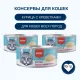 Wanpy Cat Консервы Курица с креветками, 95 г