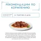 Гурмэ Перл Нежное филе с уткой в соусе, 75 г