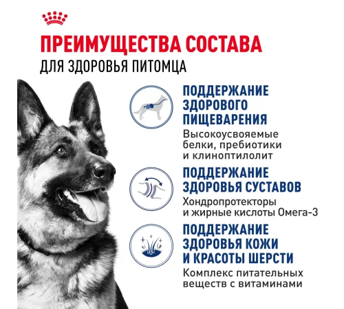 Royal Canin Maxi Adult, 3 кг