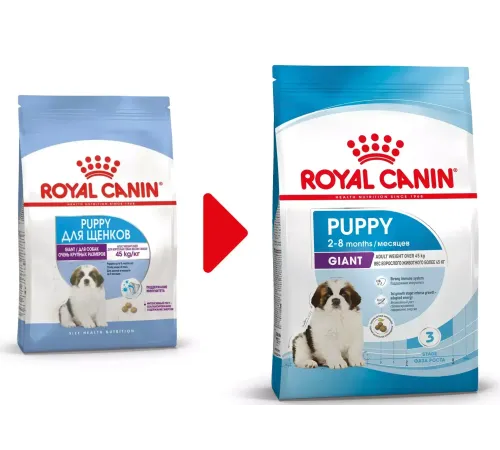 Royal Canin Giant Puppy, 3,5 кг