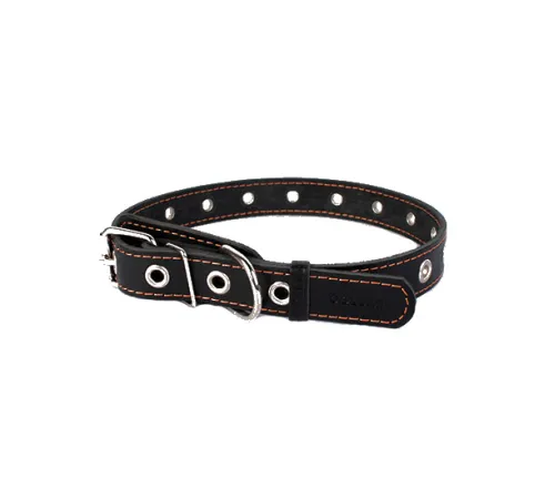 Collar безразмерный LBlack 25 мм, 60 см
