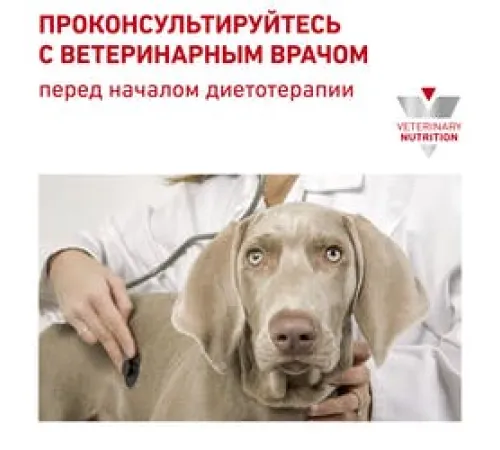Royal Canin Renal Small Dog, 500 г
