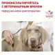 Royal Canin Renal Small Dog, 500 г