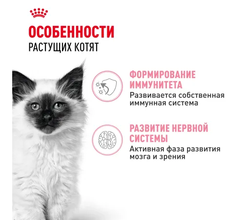 Royal Canin Kitten (соус) 85 гр