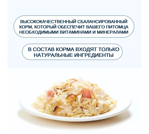 Wanpy Cat Консервы Курица с лососем, 95 г