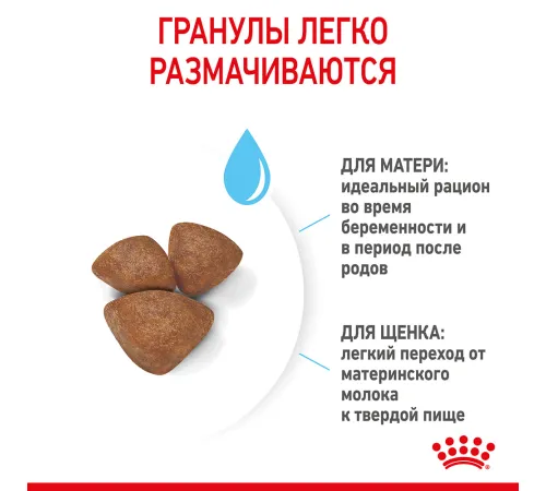 Royal Canin Mini Starter, 1 кг