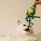 Интерактивная игрушка для кошек Лягушонок, 1 шт/уп