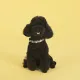 United Pets Ошейник Complete me, разноцветный рисунок, L