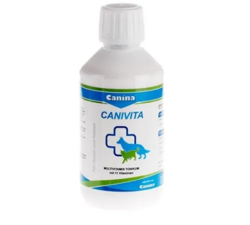 Canina Canivita (мультивитаминный сироп), 100 мл