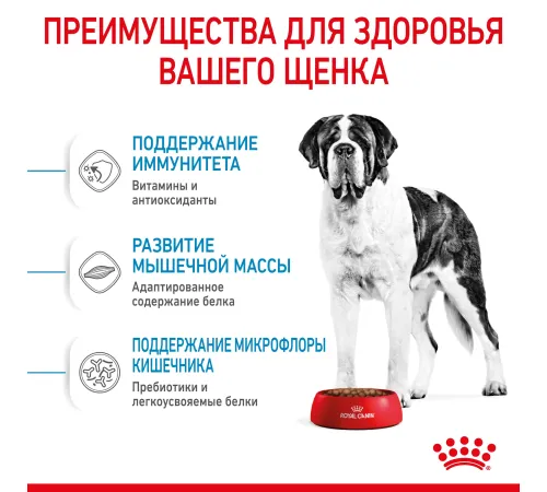Royal Canin Giant Junior, 3,5 кг