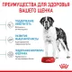 Royal Canin Giant Junior, 3,5 кг