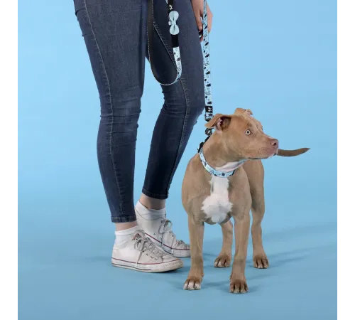 United Pets Поводок Complete me Writing, голубой с рисунком, 16 мм, 140 см