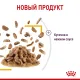 Royal Canin Sensory Taste (соус) 85 г