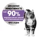 Royal Canin Appetite Control Care (соус), 85 г х 12 шт (уп)