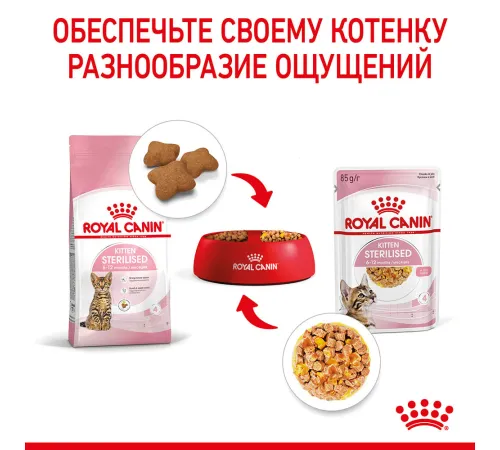Royal Canin Kitten Sterilised (желе), 85 г х 12 шт