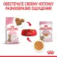 Royal Canin Kitten Sterilised (желе), 85 г х 12 шт