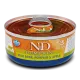 Консервы Farmina N&D Pumpkin Cat (Кабан, тыква, яблоко), 70 г