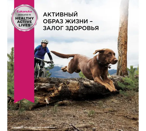 Eukanuba Adult Large Breed (Птица), 3 кг