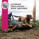 Eukanuba Adult Large Breed (Птица), 3 кг