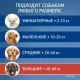 Фронтлайн Spot On XL для собак, 1 пипетка