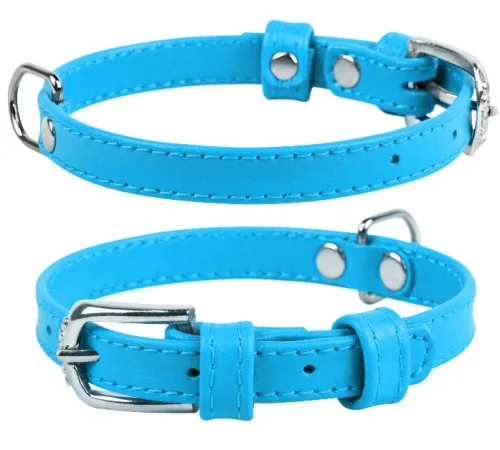 Collar Ошейник 