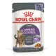 Royal Canin Appetite Control Care (желе), 85 г х 12 шт (уп)