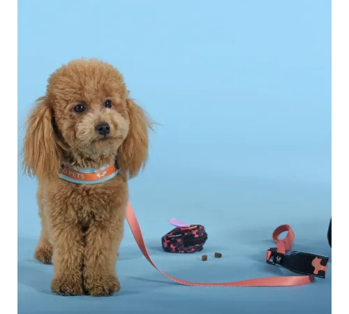 United Pets Шлейка Complete me, голубая с оранжевым, 3,5 х 48-64 см