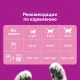 Whiskas Особое удовольствие (Белая рыба, креветка и овощи в желе), 75 г х 28 шт (уп)