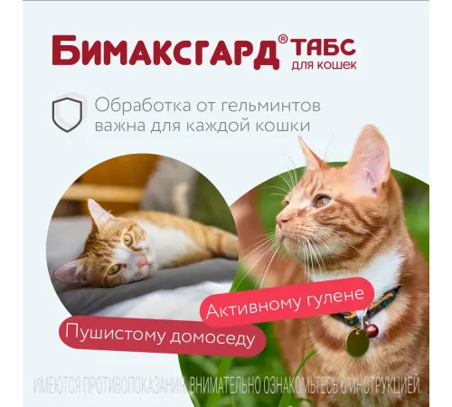 Бимаксгард ТАБС для котят и маленьких кошек, 1 таб
