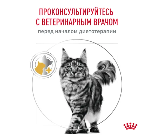 Royal Canin Urinary S/O Feline, 350 г