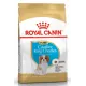 Royal Canin Cavaler King Charles Puppy, 1,5 кг + EDUC в подарок