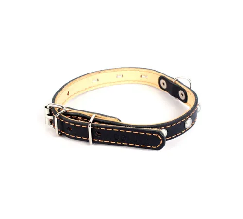 Collar двойной с украшением Black 14 мм, 27-35 см
