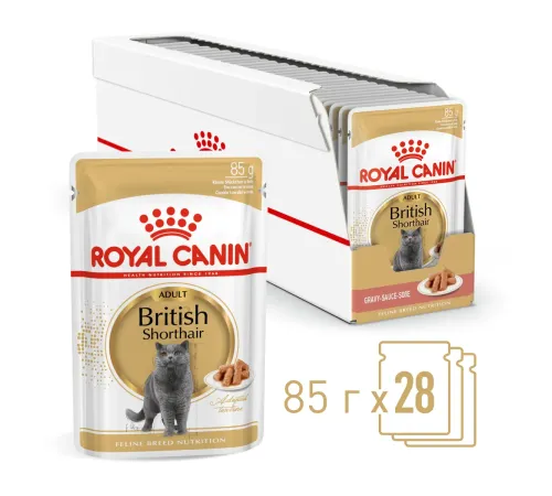 Royal Canin British Shorthair Adult (соус), 85 г 28 шт (уп)