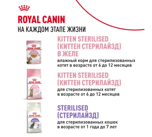 Royal Canin Kitten (соус) 85 гр