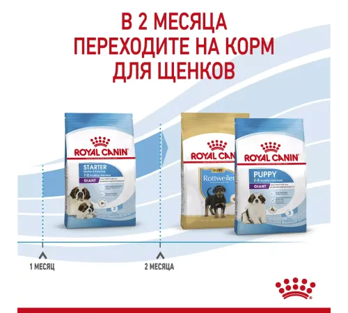 Royal Canin Giant Starter, 4 кг