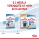 Royal Canin Giant Starter, 4 кг