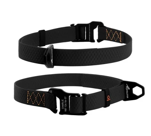 Collar Ошейник 