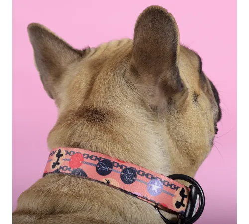United Pets Ошейник Complete me Forever, оранжевый с рисунком, M