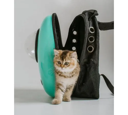 Catsy Рюкзак-переноска 
