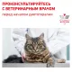 Royal Canin Hypoallergenic Cat, 350 г